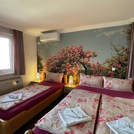 Apartmani "Marija" Golubac Exterior foto